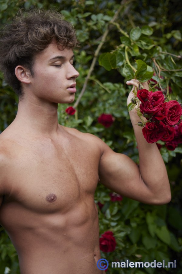Jacob in rose garden #2